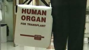 transplant box